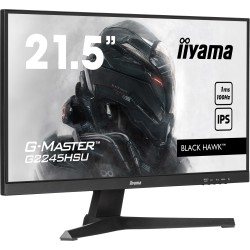 Ecran PC IIYAMA G-MASTER...