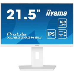 Ecran PC IIYAMA...