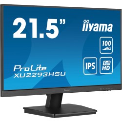 Ecran PC IIYAMA...