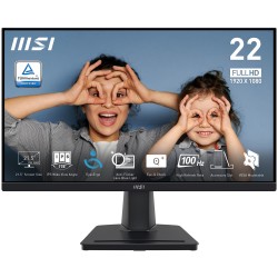 Ecran MSI PRO MP225 