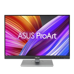 Écran PC ASUS PA248CNV